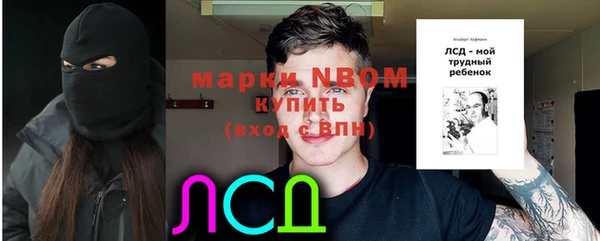 прущие грибы Верея