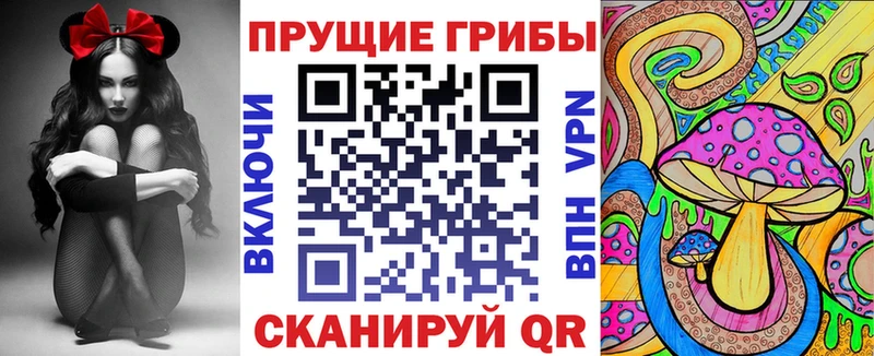 магазин продажи наркотиков  Отрадная  Псилоцибиновые грибы GOLDEN TEACHER 
